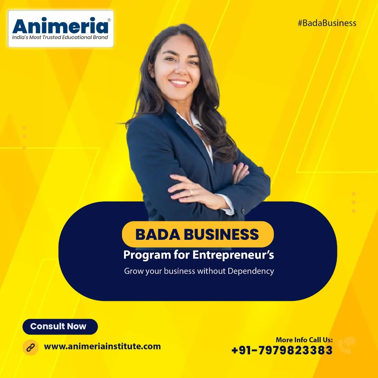 animeria-bada-business