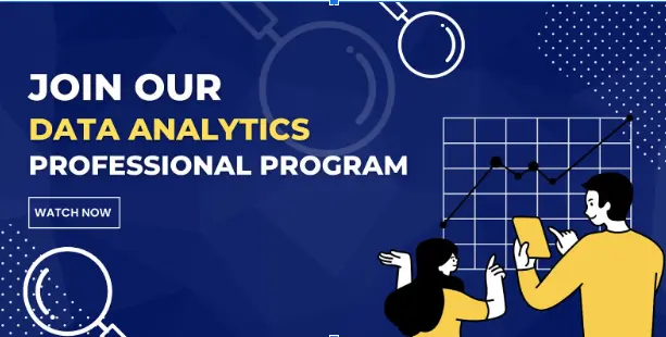 animeria-data-analytics-professionals